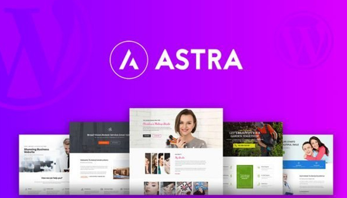Astra – Theme WordPress giới thiệu công ty chuẩn SEO