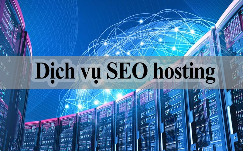 đơn vị dịch vụ seo hosting
