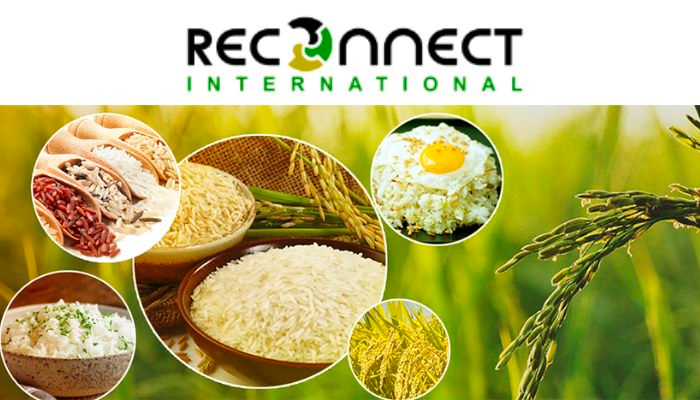 Có nên nhập gạo tại Reconnect International hay không?