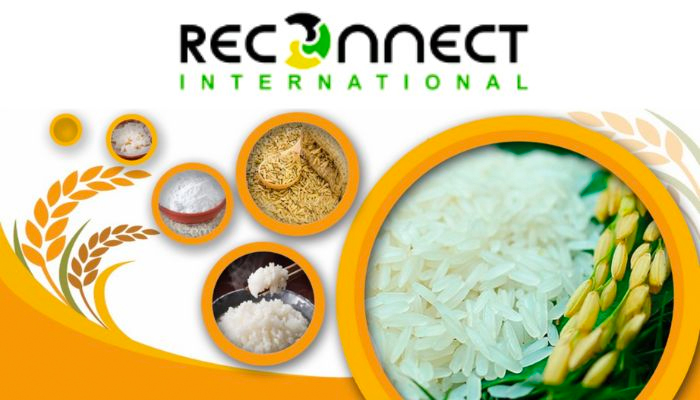 Reconnect International – Công ty xuất khẩu gạo chất lượng tại Việt Nam