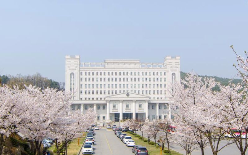 Kinh nghiệm tìm kiếm trung tâm du học Hàn Quốc uy tín, phù hợp
