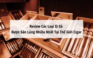 Các loại cigar chất lượng tại Thế Giới Cigar