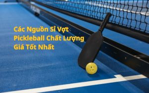 nguồn sỉ vợt pickleball