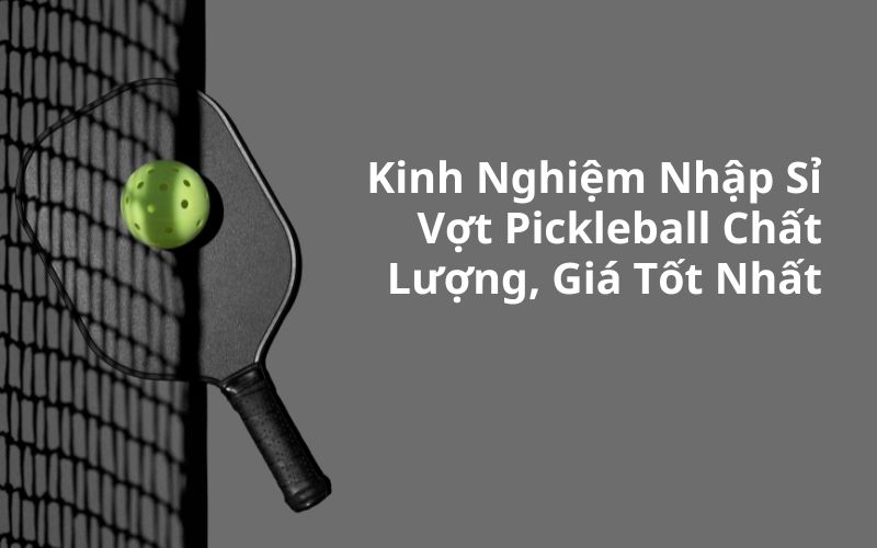 nhập sỉ vợt pickleball