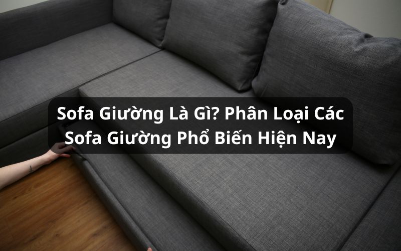 sofa giường là gì