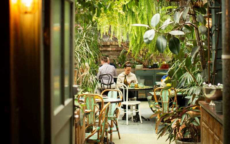 cafe sân vườn