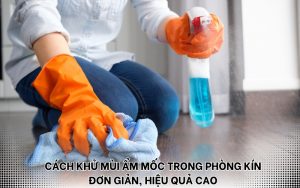 cách khử mùi ẩm mốc trong phòng