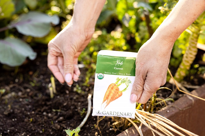 Công ty TNHH Giống cây trồng Hoàng Minh