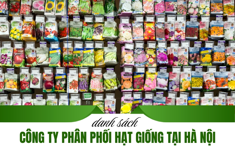công ty phân phối hạt giống tại Hà Nội