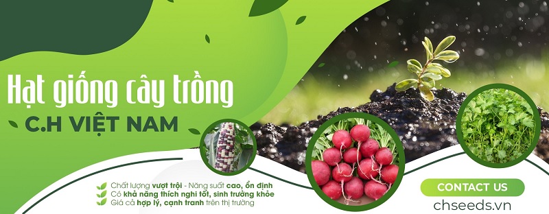 Công ty TNHH C.H Việt Nam