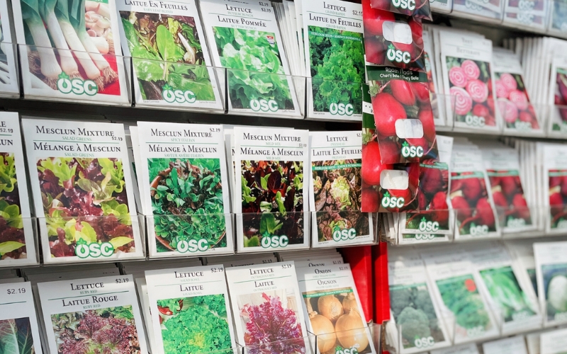 Công ty TNHH Thế Giới Cây và Hoa