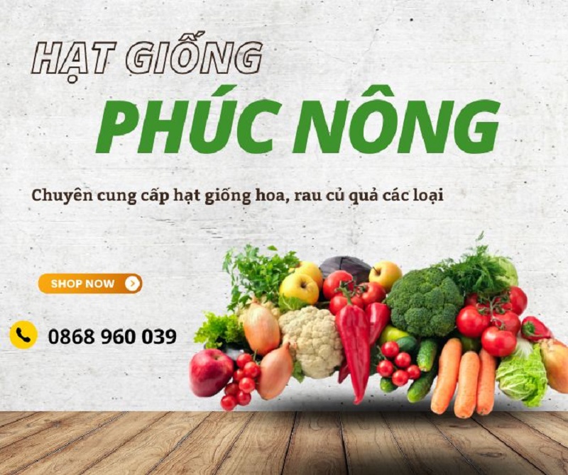 Kho sỉ hạt giống Phúc An Nông