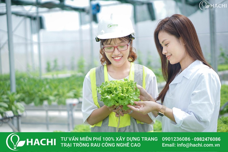 Công ty CP Công nghệ cao Hachi Việt Nam