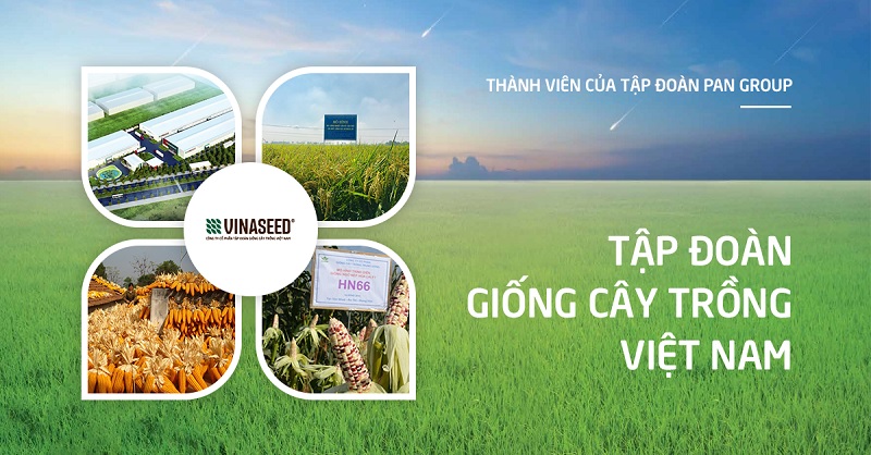 Tập đoàn giống cây trồng Việt Nam Vinaseed